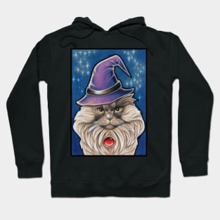 Grouchy Wizard Cat Hoodie